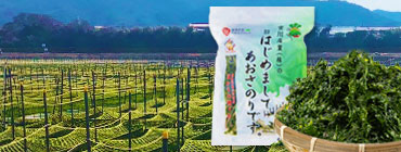 はじめまして あおさのりです。